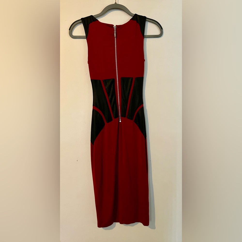 Bebe Dress - Picture 4 of 5